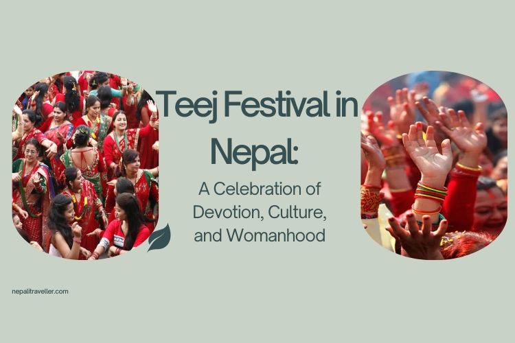 Teej Festival in Nepal: A Celebration of Devotion, Culture, and Womanhood
