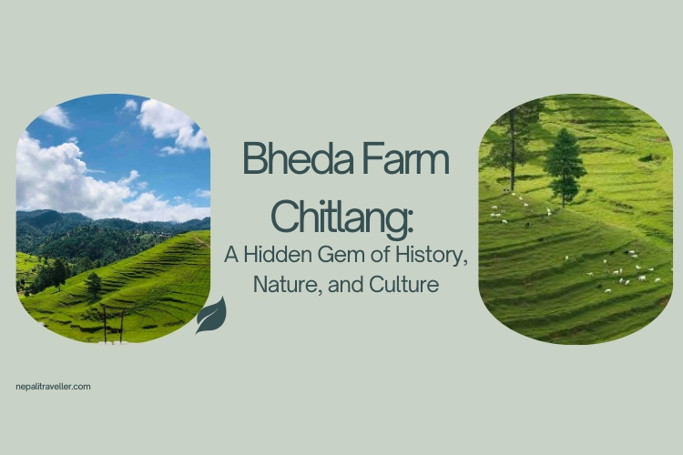 Bheda Farm Chitlang