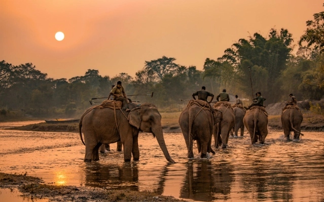 Chitwan National Park Elephant Riding